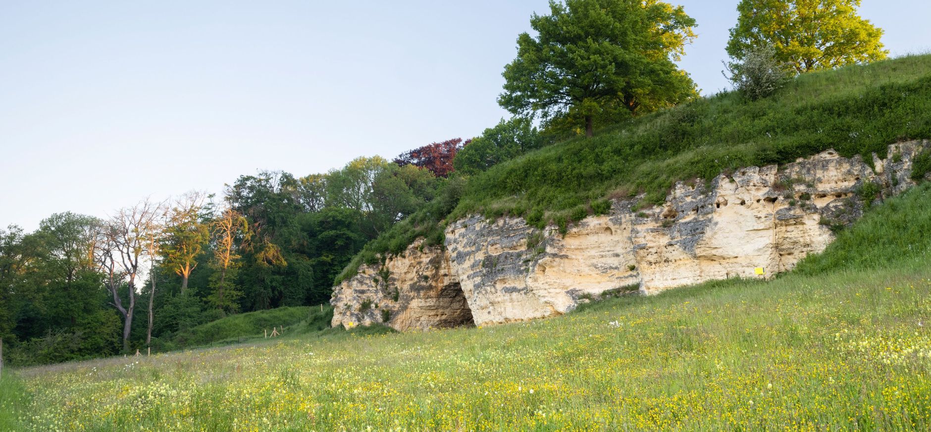 De Däölkesberg met op de voorgrond kalkgrasland