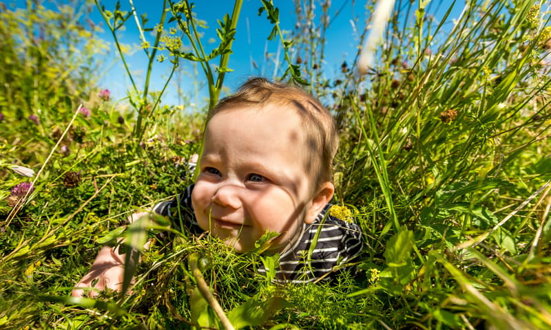 Baby in gras