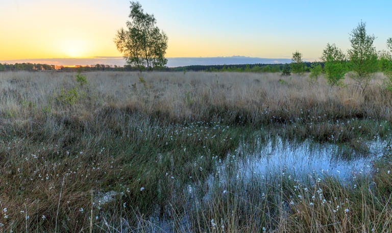 Zonsopkomst op het Dwingelderveld