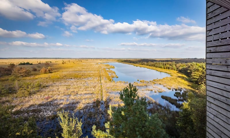 Fochteloërveen, Drenthe