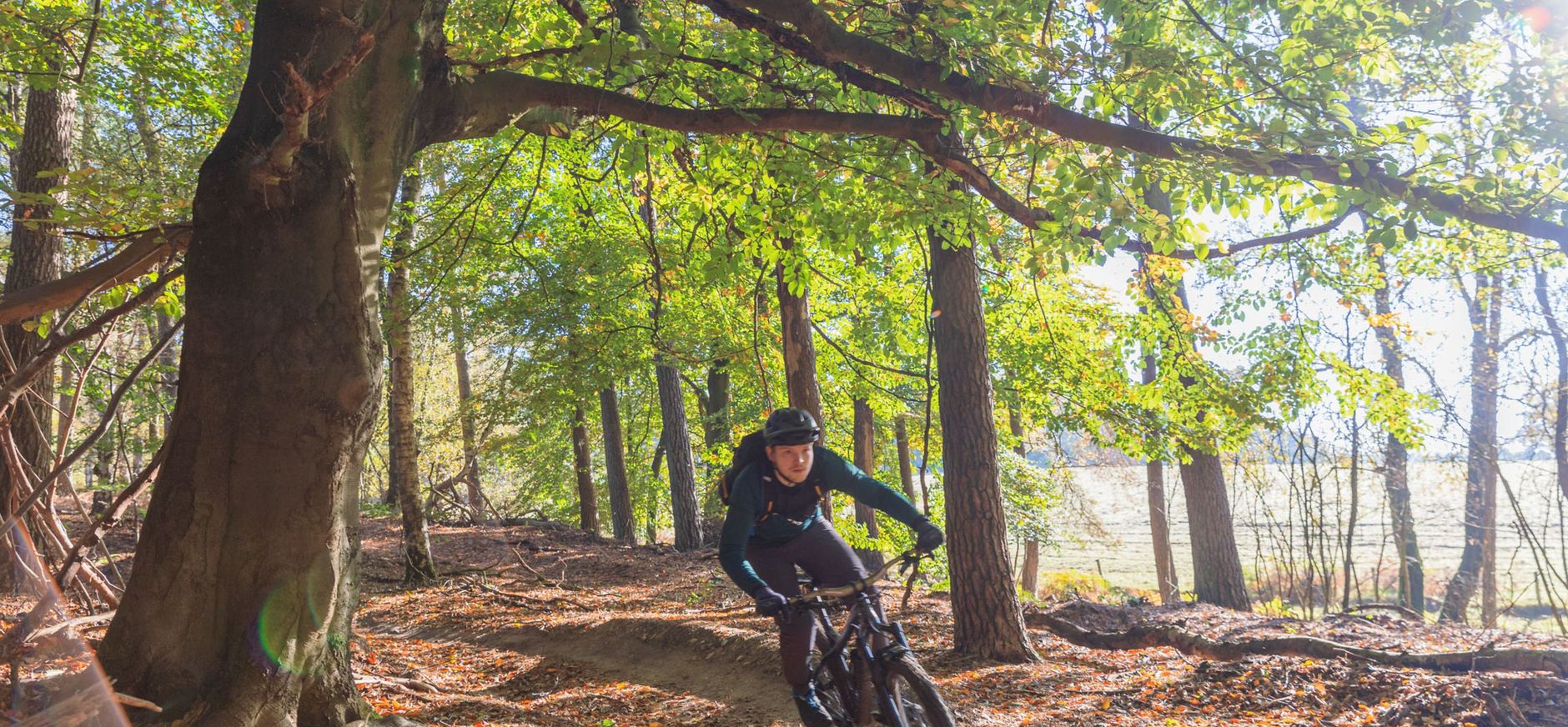 Mountainbiker in het bos