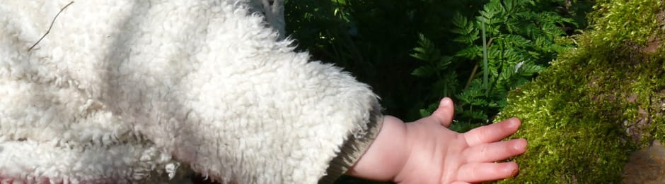 Voelen aan boomschors