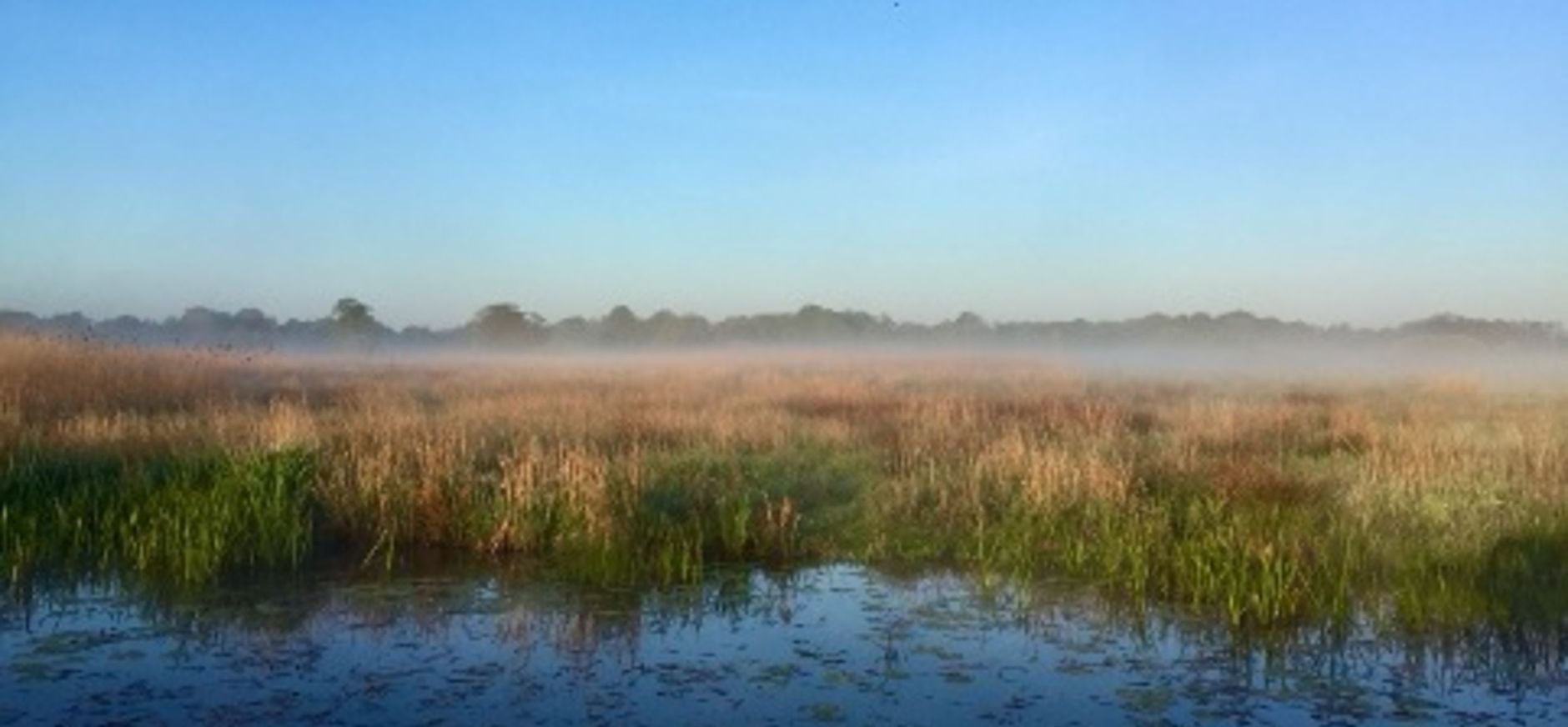 De Klencke De Klencke