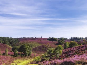 Heideheuvels op de Posbank