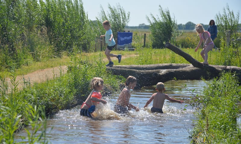 Speelnatuur van OERRR Belevenisboerderij Schieveen