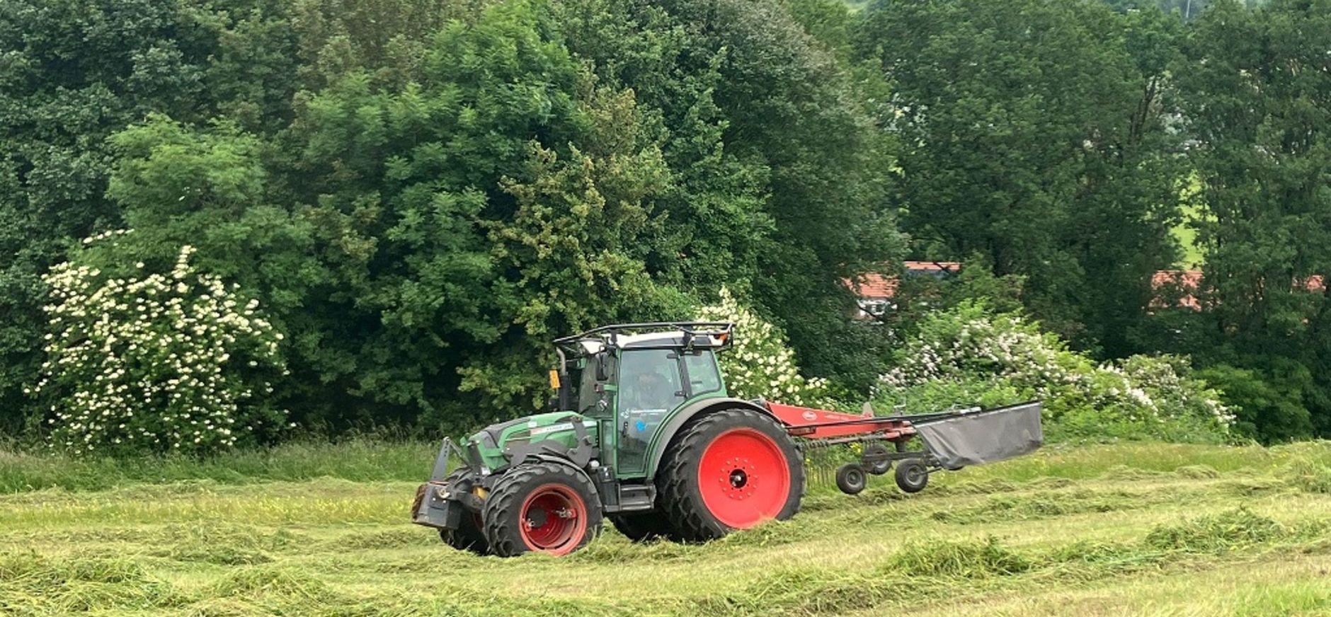 maaien westhelling
