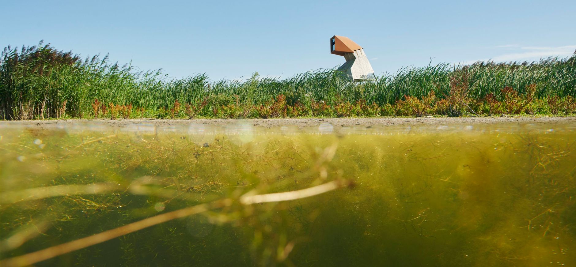 MW onderwaternatuur 1