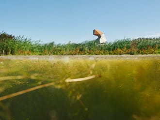 MW onderwaternatuur 1