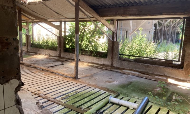 Ligboxenstal, jongveestal en kuilvoerplaten worden gesaneerd