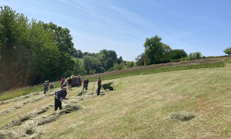 Beheer Zuid-Limburg