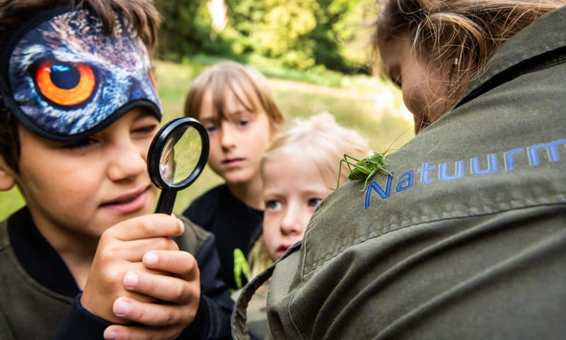 Foto van een kind dat met behulp van een vergrootglas een sprinkhaan op de schouder van een boswachter van heel dichtbij bekijkt.