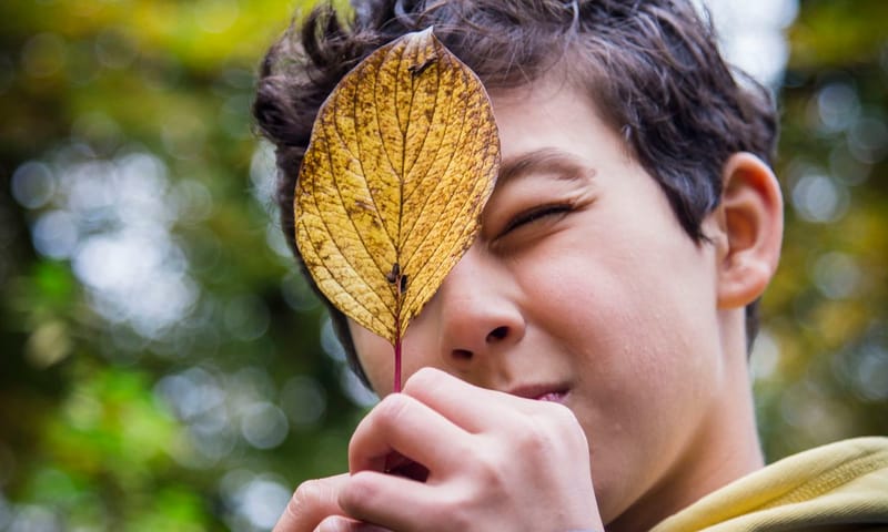 Bomenontdekkingstocht 