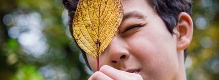 Bomenontdekkingstocht Kind bekijkt een herfstblad van dichtbij