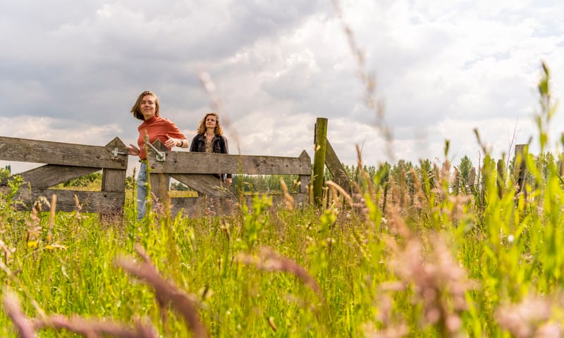 Wandelen