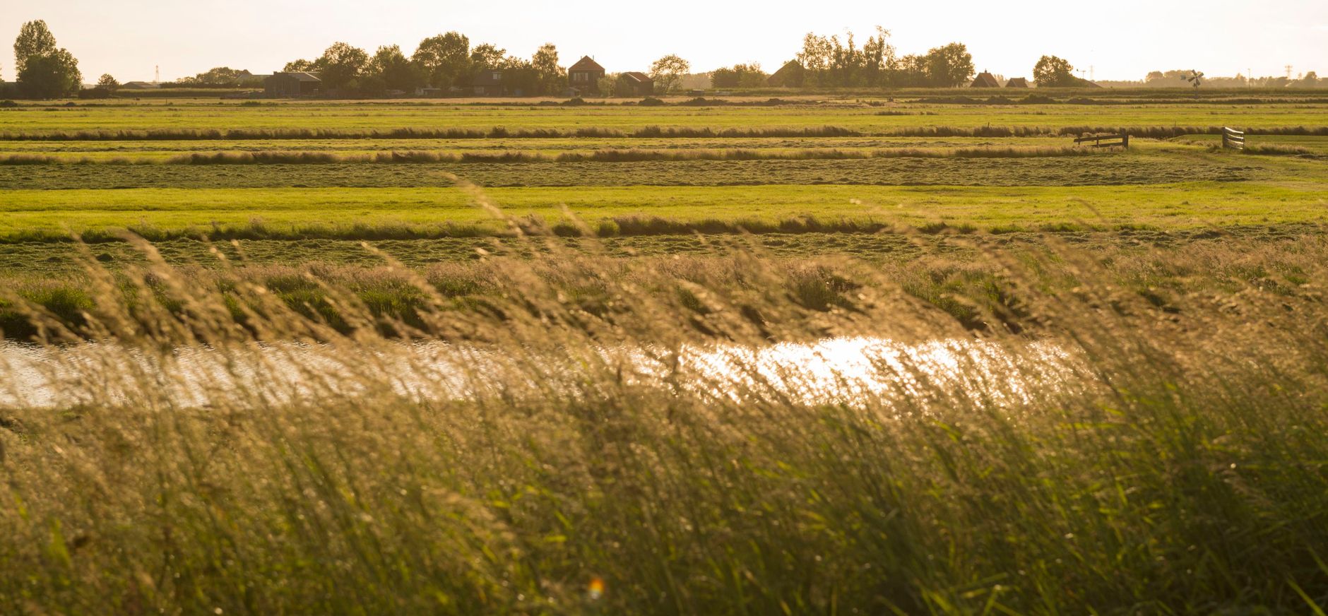 weide bij zonsondergang