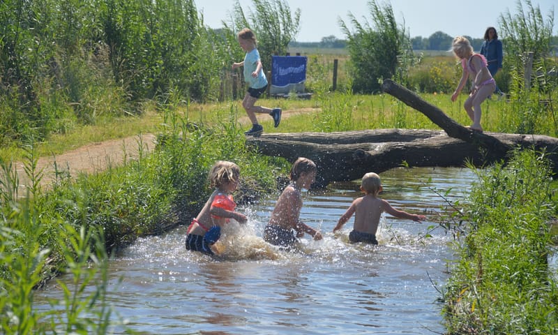 Speelnatuur van OERRR Belevenisboerderij Schieveen