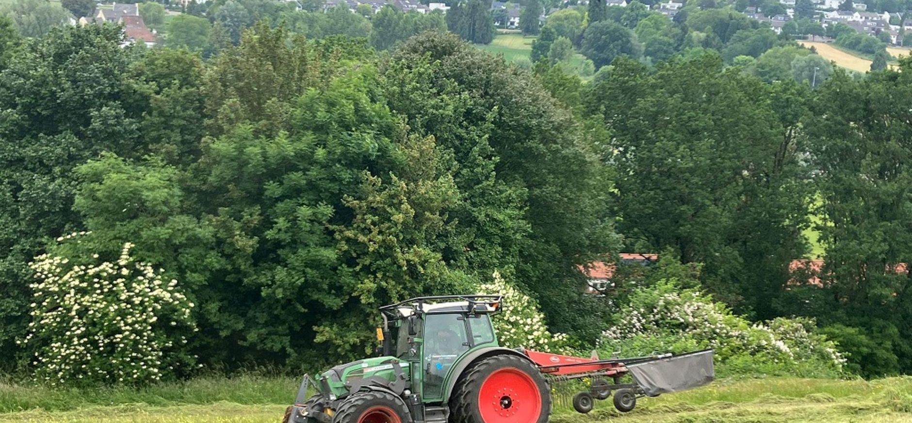 maaien westhelling