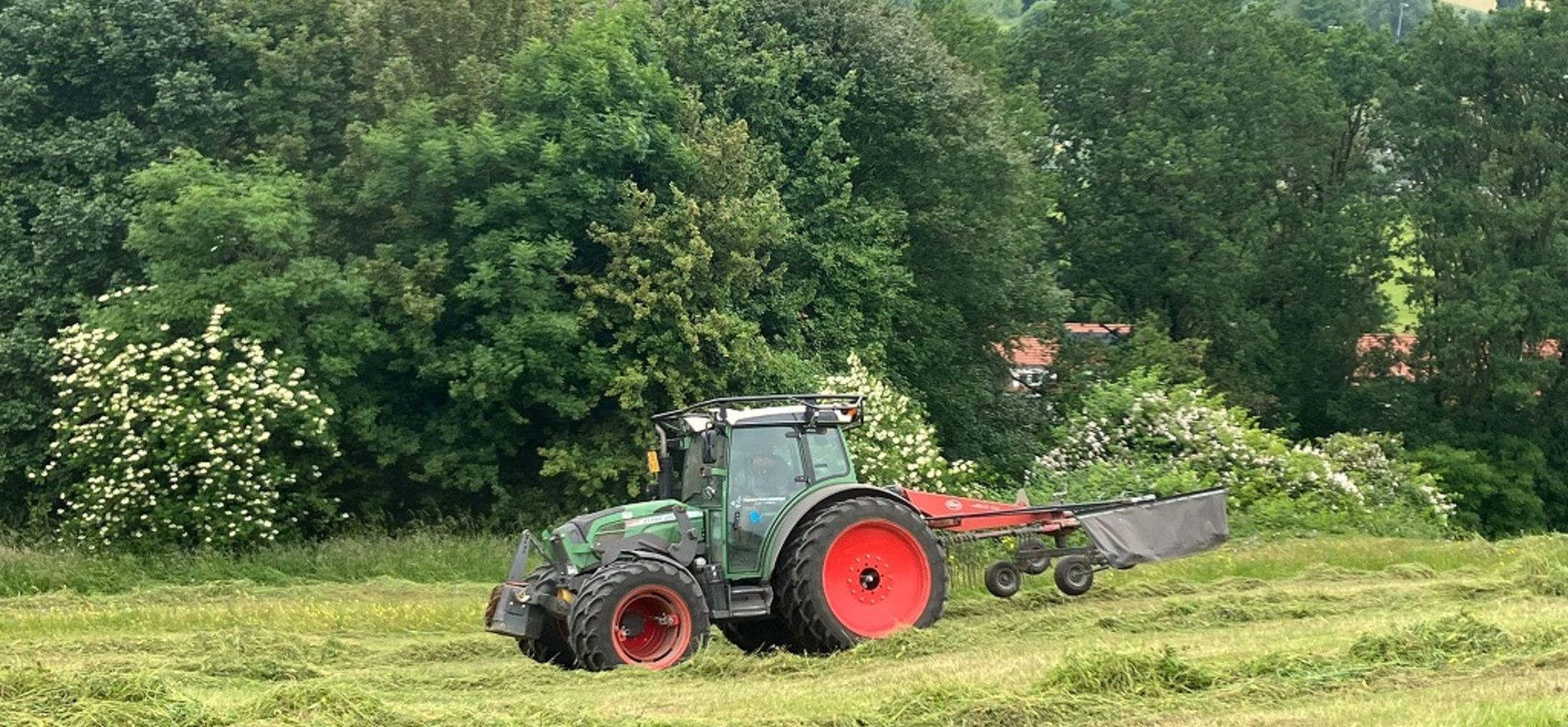 maaien westhelling