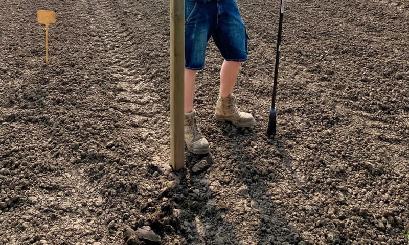 Boer Pieter van Voorden op Herenboerderij Rhoon