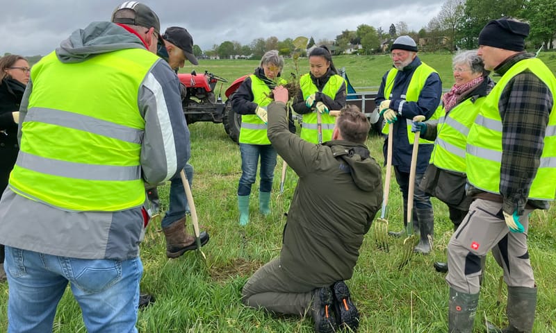 Boswachter Frenk demonstreert hoe de jonge plantjes uit te graven. Uitgraven Japanse Duizenknoop