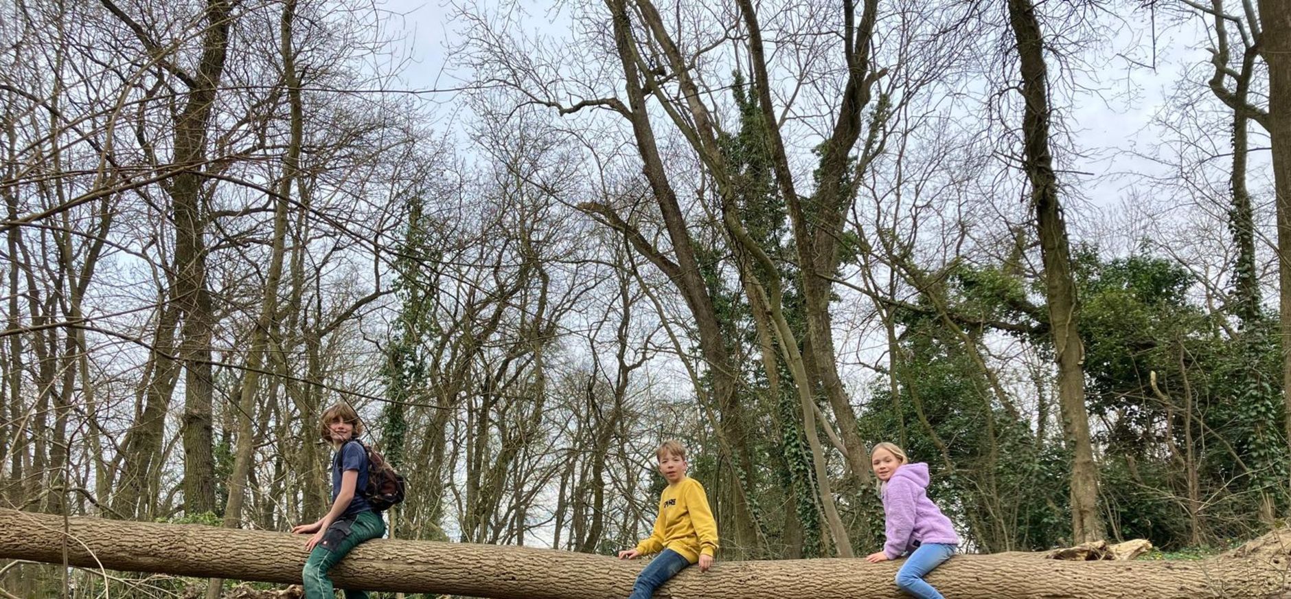 Koninginnepad Slavantebos