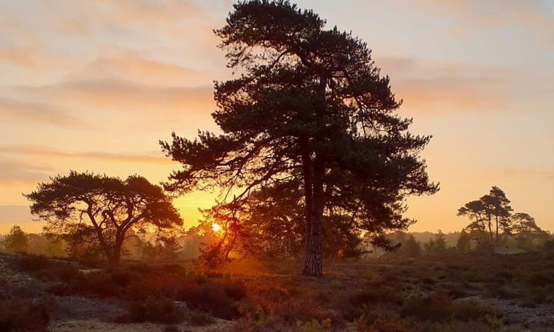 Zonsondergang op het Hulshorsterzand Zonsondergang op het Hulshorsterzand
