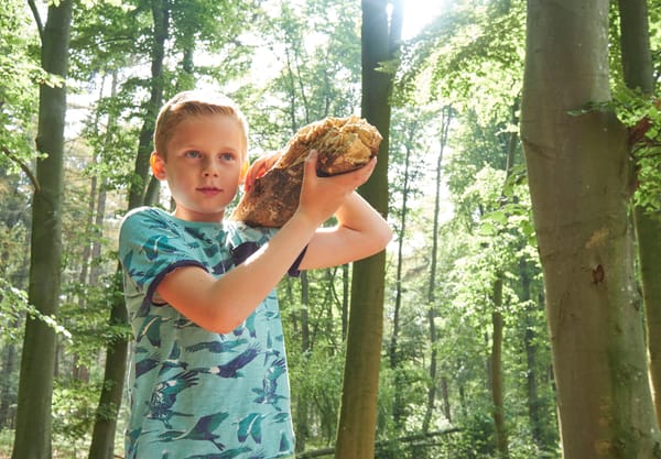 takken slepen Bergherbos