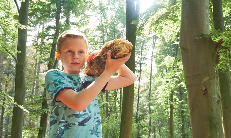takken slepen Bergherbos