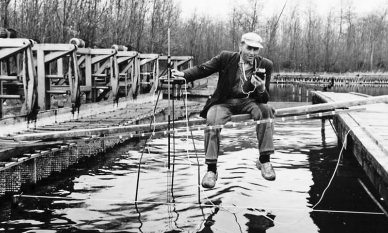 Geschiedenis Waterloopbos Geschiedenis Waterloopbos