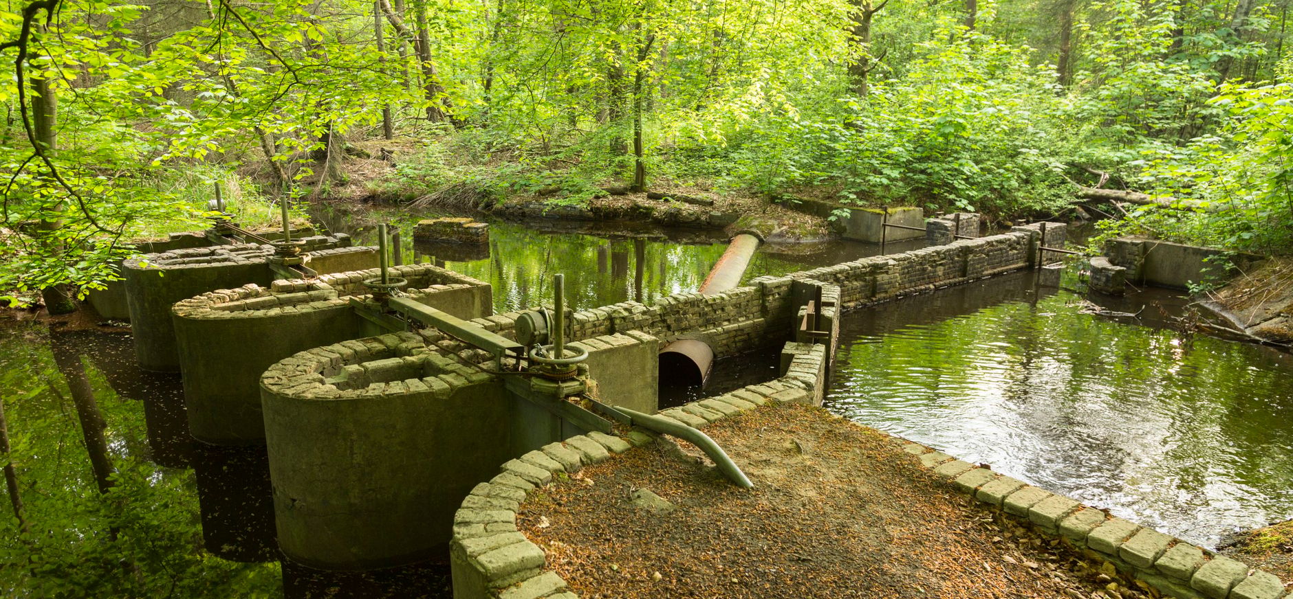 Waterloopbos Romijnstuw Waterloopbos Romijnstuw