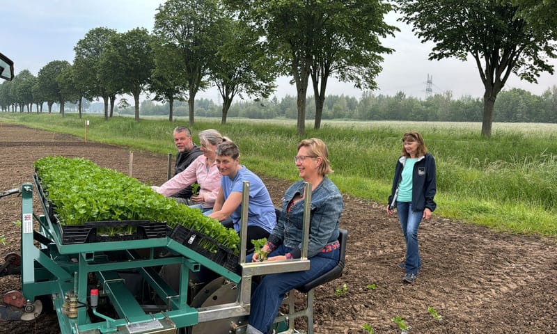 Oogst van het land bij Herenboeren Rhoon