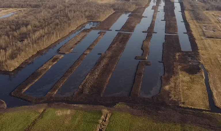 Petgaten in De Wieden