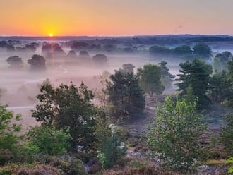 Brunssummerheide