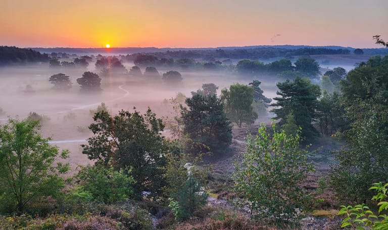 Brunssummerheide Brunssummerheide