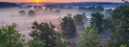 Brunssummerheide