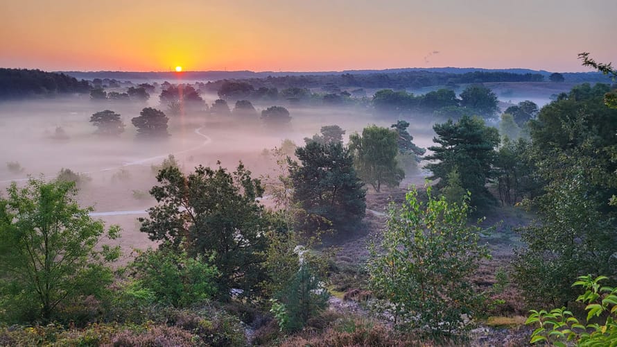 Brunssummerheide
