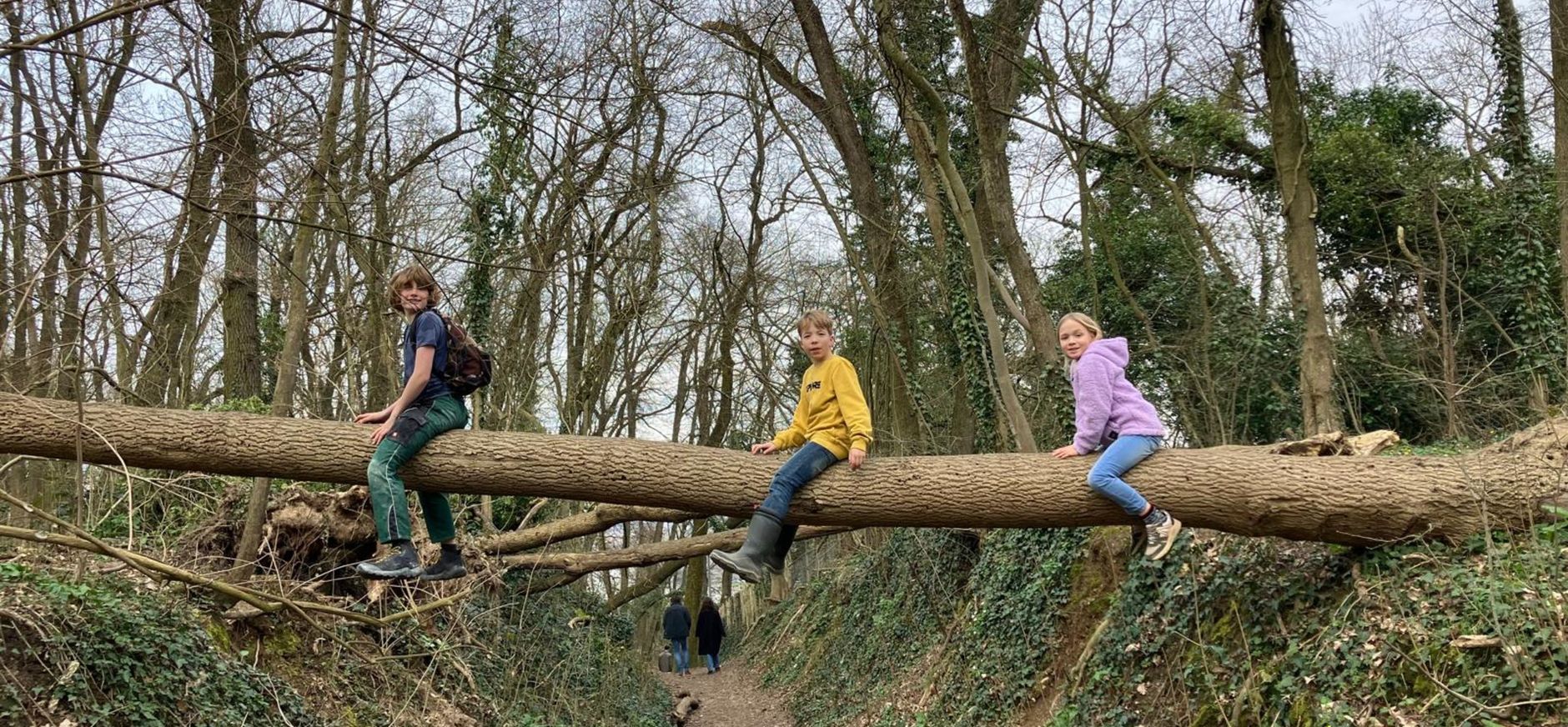 Koninginnepad Slavantebos