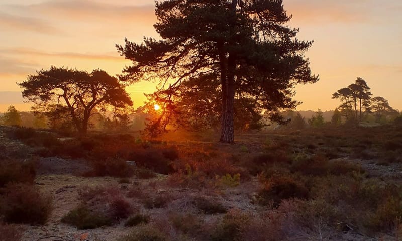 Zonsondergang op het Hulshorsterzand Zonsondergang op het Hulshorsterzand