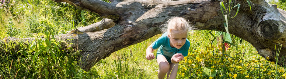OERRR Speelnatuur Tiengemeten OERRR Speelnatuur Tiengemeten