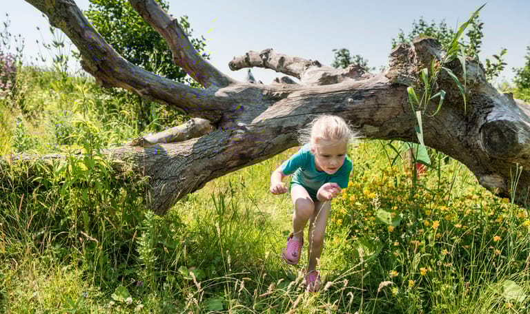 OERRR Speelnatuur Tiengemeten