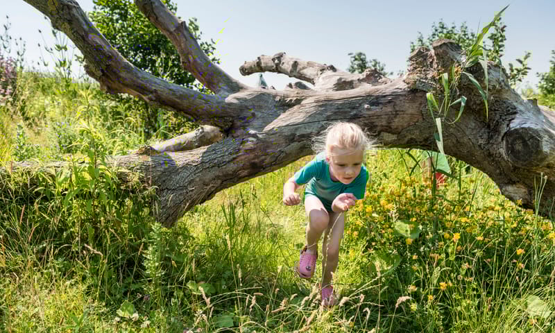 OERRR Speelnatuur Tiengemeten OERRR Speelnatuur Tiengemeten