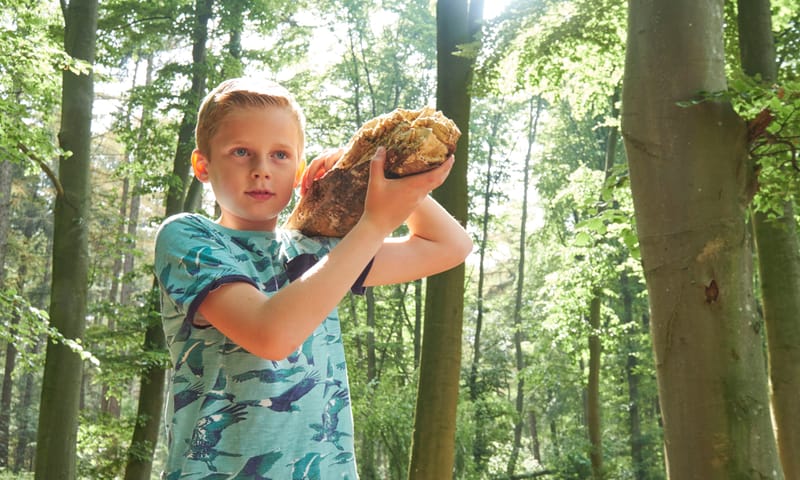 takken slepen Bergherbos