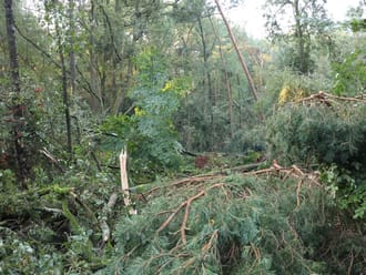 Ravage Einde Gooi