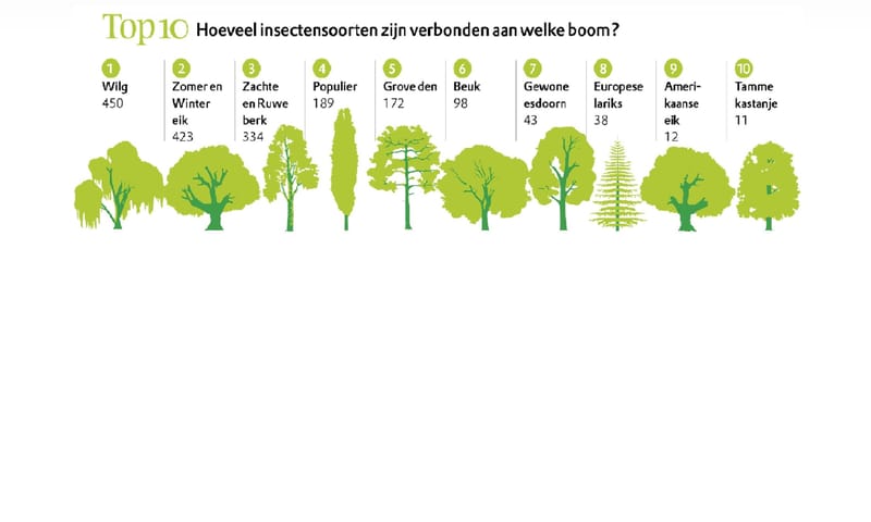 infographic bomen en insecten