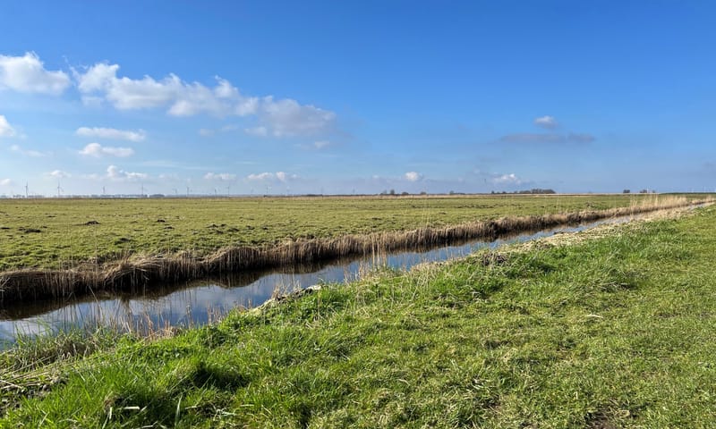 Graslanden Korendijk