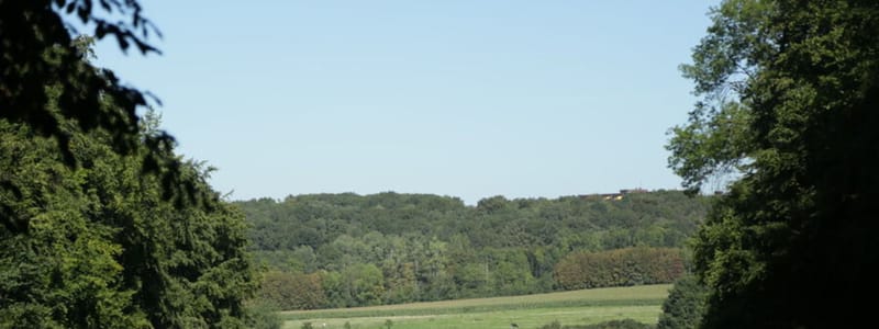 Doorkijk vanuit het Imstenraderbos Doorkijk over de velden vanuit het Imstenraderbos