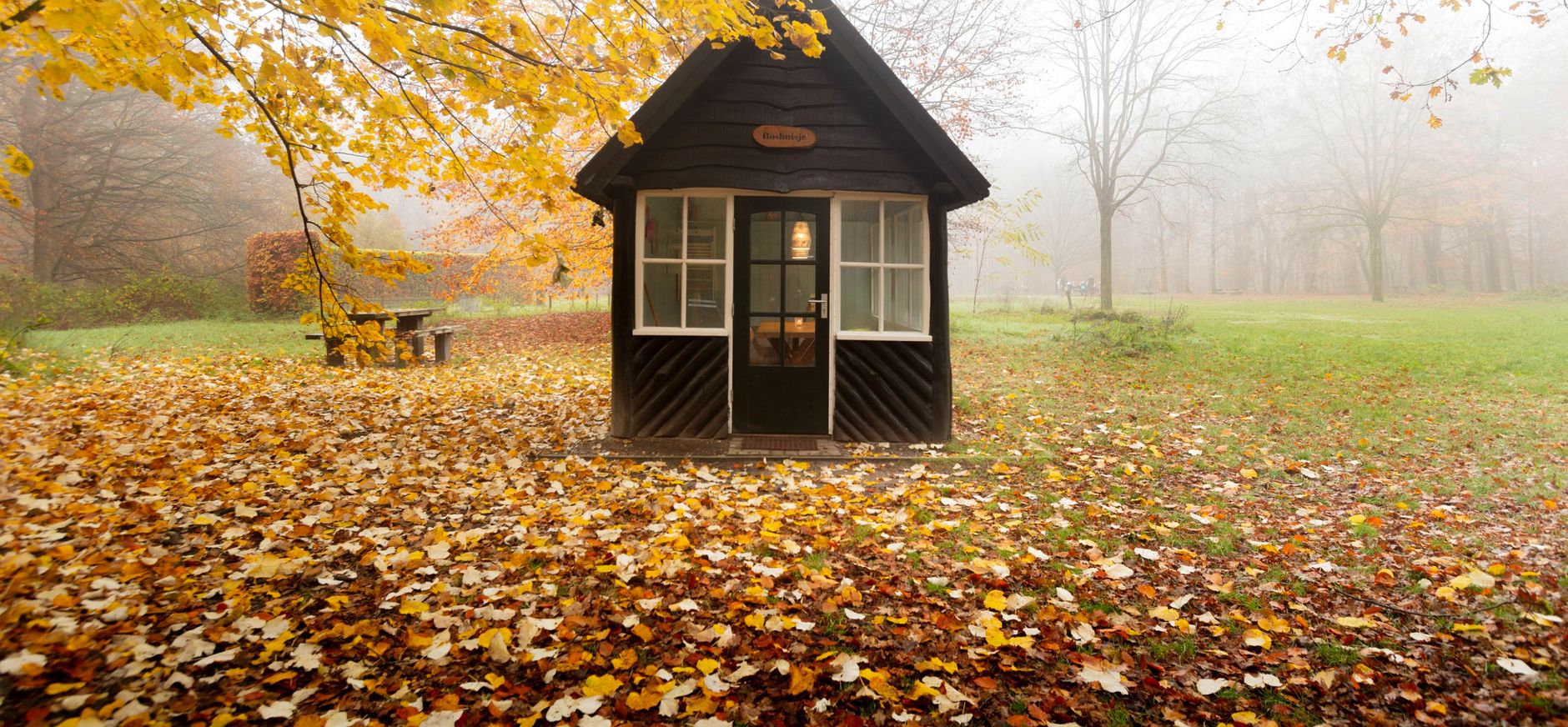 Boshuisje in Oisterwijck