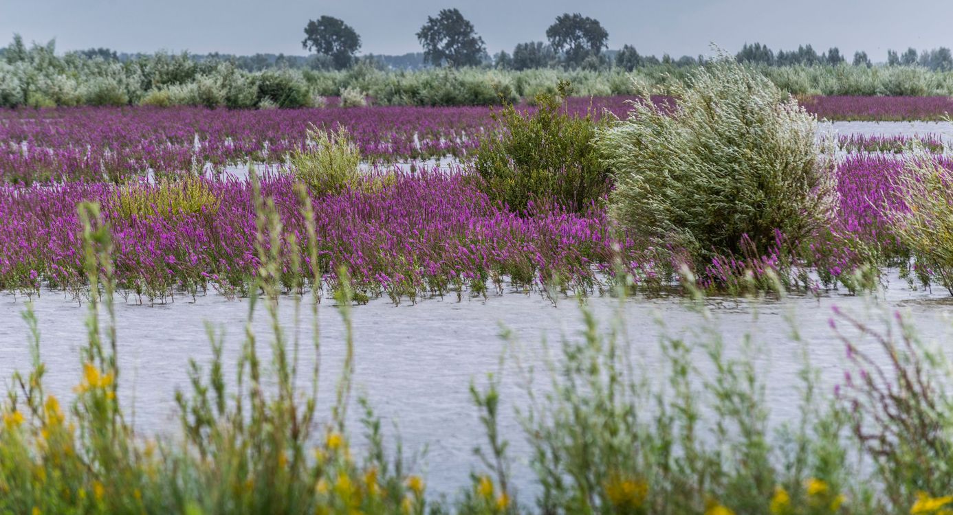 Wandelen Tiengemeten