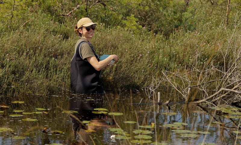 Boswachter Tjitske in waadpak bij de lavendelhei