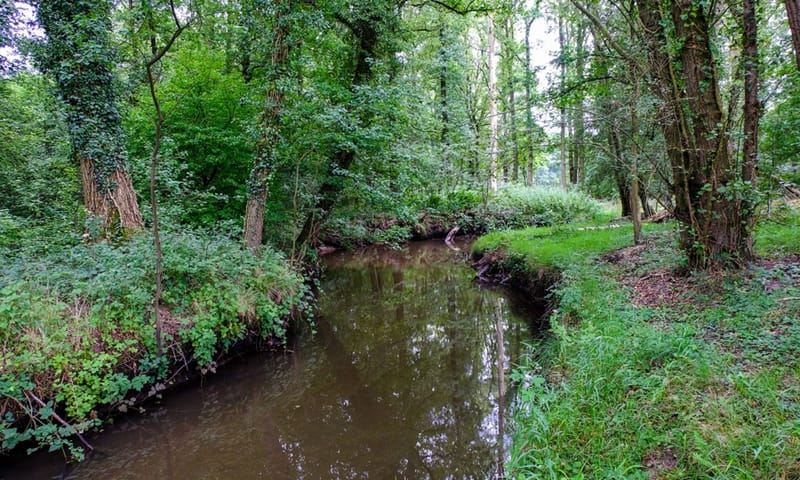Beerze in de Smalbroeken Beerze in de Smalbroeken